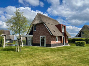Beautiful villa with wellness in a holiday park on the Tjeukemeer
